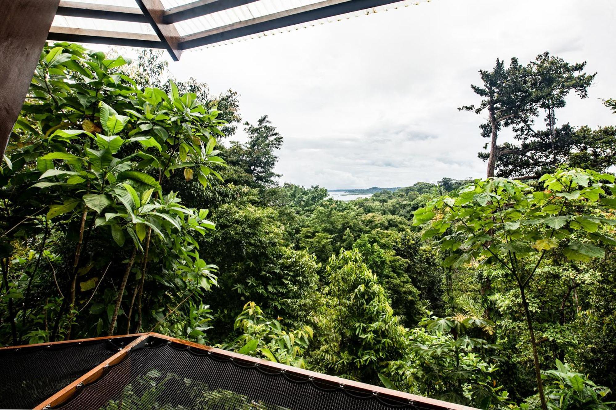 La Loma Jungle Lodge And Chocolate Farm Bocas Town Exterior photo
